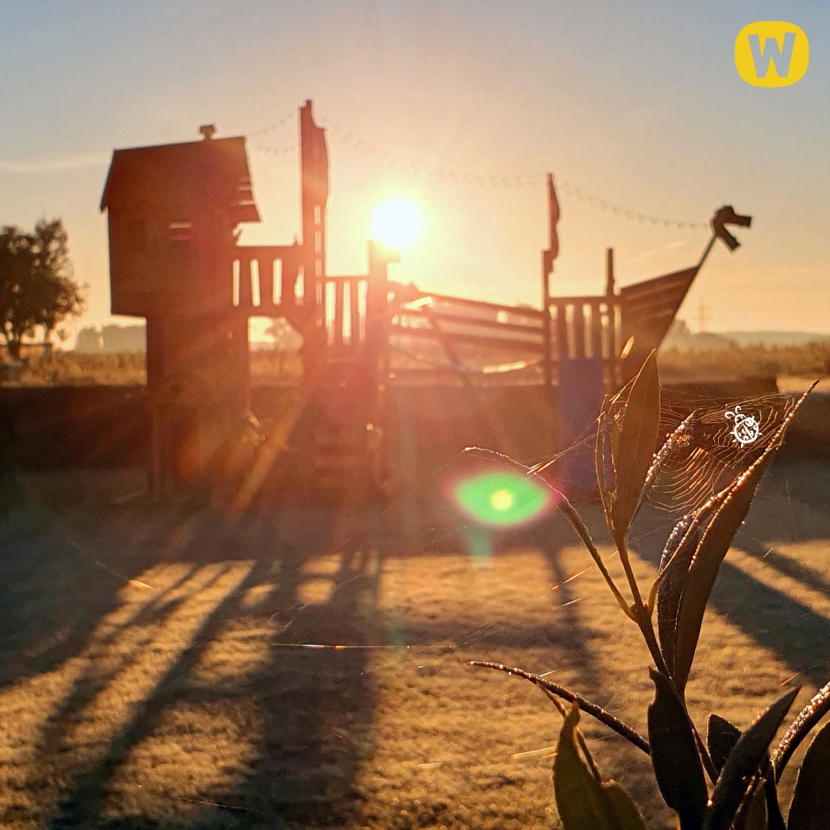 Namelis medyje Wickey Prime NeverLand Gold be turboslydimo 621060_k